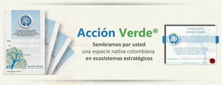 Acciones verdes
