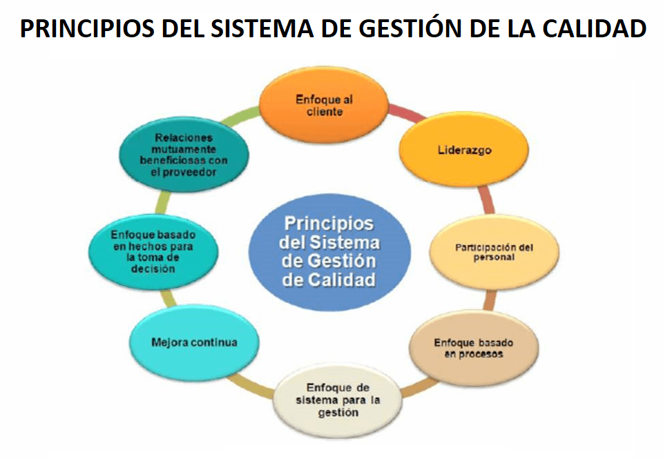 Principios de la Gestión de calidad
